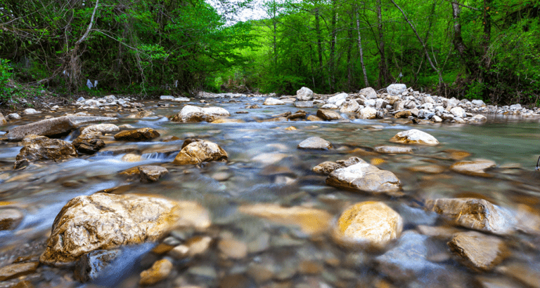 Water Resource